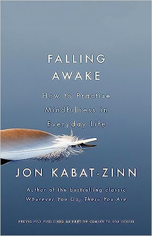 Falling Awake - How to Practice Mindfulness in Everyday Life